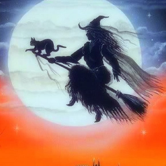 Meet your Posher, Bridget - Picture 2 of 2